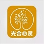 光合心灵花园ico
