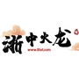 龙城网络游戏ico