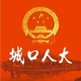 城口人大ico