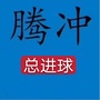 腾冲总进球数ico