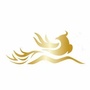 和凤张家村村委会ico