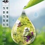 梨山乌龙ico