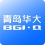 青岛华大ico