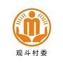 白家观斗阳光村务ico