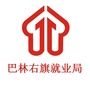巴林右旗就业局ico