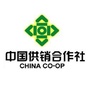 固原供销ico