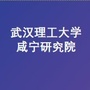 武汉理工大学咸宁研究院ico