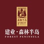 濮阳建业森林半岛ico