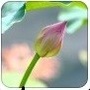 虹山中路先锋驿站ico