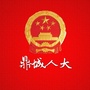 鼎城人大ico