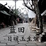 话说蓝田ico