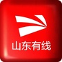 山东有线张店分公司ico