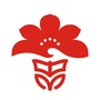 中山市石岐中心小学ico