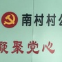 江门蓬江荷塘南村发布ico