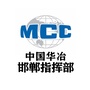 中国华冶邯郸指挥部ico