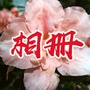 福星鸿瑞相册ico