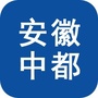 安徽中都ico