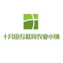 十月田互联网农业小镇ico