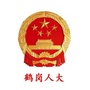 鹤岗人大ico