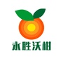 永胜沃柑ico