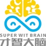 三元才智ico