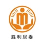 澄溪胜利阳光居务ico