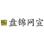 盘锦网宣ico