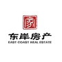 东岸集团ico