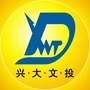 北京兴大文投ico