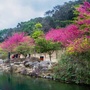 邯郸识生活ico