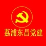 荔浦东昌党建ico