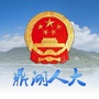 鼎湖人大ico