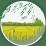 前郭县达里巴乡ico