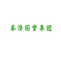 秦淮国资集团ico