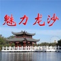魅力龙沙ico