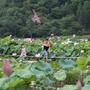 西山苗梦公众号ico