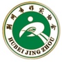 荆州作家ico