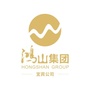 鸿山集团宜宾公司ico