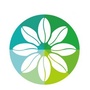 走出去泰国财税公众号ico