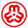 泰安市妇联ico
