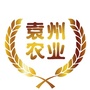 袁州农业ico