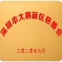 深圳市大鹏新区慈善会ico