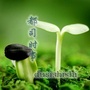 都司时事ico
