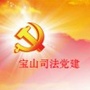 宝山司法党建ico