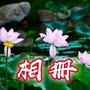 至诚永念相册ico