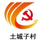 营口市沿海街道土城子村ico