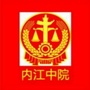 内江中院ico