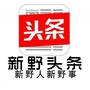 新野头条ico