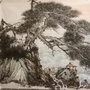 家族财富传承与资产配置公众号ico