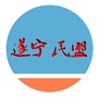 遂宁民盟ico
